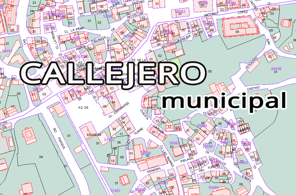 Callejero Municipal